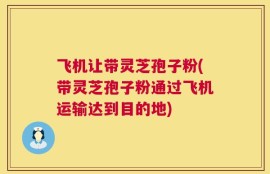 飞机让带灵芝孢子粉(带灵芝孢子粉通过飞机运输达到目的地)