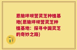 恩施坪坝营灵芝种植基地(恩施坪坝营灵芝种植基地：探寻中国灵芝的奇妙之路)
