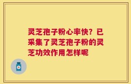灵芝孢子粉心率快？已采集了灵芝孢子粉的灵芝功效作用怎样呢