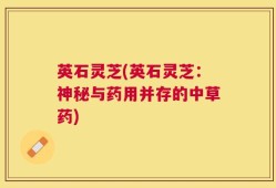 英石灵芝(英石灵芝：神秘与药用并存的中草药)