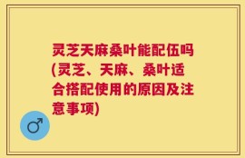 灵芝天麻桑叶能配伍吗(灵芝、天麻、桑叶适合搭配使用的原因及注意事项)