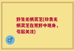 野生无柄灵芝(珍贵无柄灵芝在荒野中现身，引起关注)