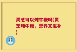 灵芝可以炖牛鞭吗(灵芝炖牛鞭，营养又滋补)
