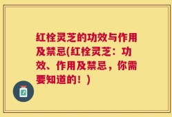 红栓灵芝的功效与作用及禁忌(红栓灵芝：功效、作用及禁忌，你需要知道的！)