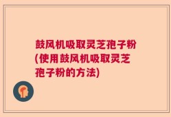 鼓风机吸取灵芝孢子粉(使用鼓风机吸取灵芝孢子粉的方法)