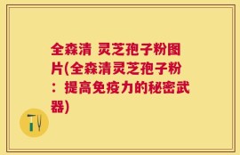 全森清 灵芝孢子粉图片(全森清灵芝孢子粉：提高免疫力的秘密武器)
