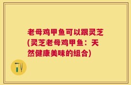 老母鸡甲鱼可以跟灵芝(灵芝老母鸡甲鱼：天然健康美味的组合)