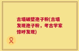 古墙破壁孢子粉(古墙发现孢子粉，考古学家惊呼发现)