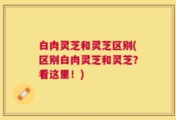 白肉灵芝和灵芝区别(区别白肉灵芝和灵芝？看这里！)