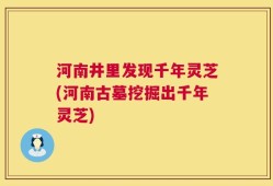 河南井里发现千年灵芝(河南古墓挖掘出千年灵芝)