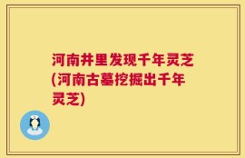 河南井里发现千年灵芝(河南古墓挖掘出千年灵芝)