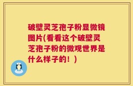 破壁灵芝孢子粉显微镜图片(看看这个破壁灵芝孢子粉的微观世界是什么样子的！)