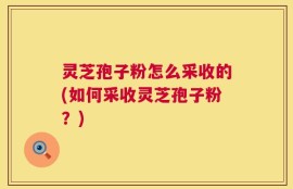 灵芝孢子粉怎么采收的(如何采收灵芝孢子粉？)