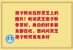 孢子粉长在野灵芝上的图片？听说灵芝孢子粉非常好，身边的好多朋友都在吃，想问问灵芝孢子粉究竟有多好