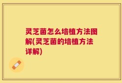 灵芝菌怎么培植方法图解(灵芝菌的培植方法详解)