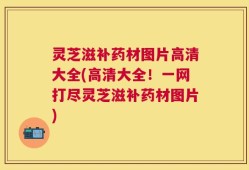 灵芝滋补药材图片高清大全(高清大全！一网打尽灵芝滋补药材图片)