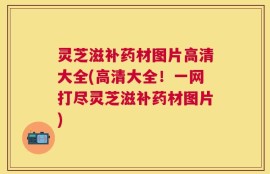 灵芝滋补药材图片高清大全(高清大全！一网打尽灵芝滋补药材图片)