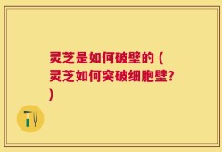 灵芝是如何破壁的 (灵芝如何突破细胞壁？)
