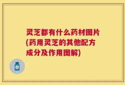 灵芝都有什么药材图片(药用灵芝的其他配方成分及作用图解)