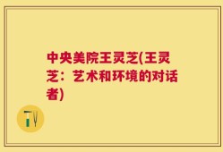 中央美院王灵芝(王灵芝：艺术和环境的对话者)