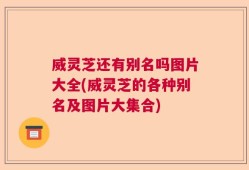 威灵芝还有别名吗图片大全(威灵芝的各种别名及图片大集合)