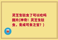 灵芝生驻虫了可以吃吗图片(神奇！灵芝生驻虫，竟成可食之宝？)