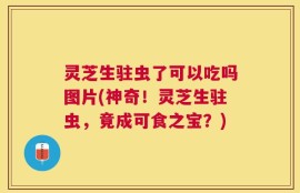 灵芝生驻虫了可以吃吗图片(神奇！灵芝生驻虫，竟成可食之宝？)