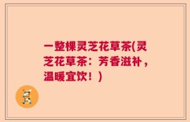 一整棵灵芝花草茶(灵芝花草茶：芳香滋补，温暖宜饮！)
