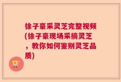 徐子豪采灵芝完整视频(徐子豪现场采摘灵芝，教你如何鉴别灵芝品质)