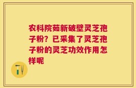 农科院茹新破壁灵芝孢子粉？已采集了灵芝孢子粉的灵芝功效作用怎样呢