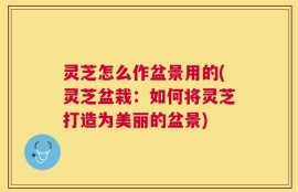 灵芝怎么作盆景用的(灵芝盆栽：如何将灵芝打造为美丽的盆景)