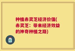 种植赤灵芝经济价值(赤灵芝：带来经济效益的神奇种植之路)