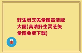 野生灵芝矢量图高清版大图(高清野生灵芝矢量图免费下载)