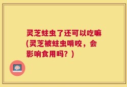 灵芝蛀虫了还可以吃嘛(灵芝被蛀虫啃咬，会影响食用吗？)