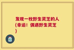 发现一枚野生灵芝的人(幸运！偶遇野生灵芝)