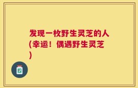 发现一枚野生灵芝的人(幸运！偶遇野生灵芝)
