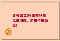 青林张灵芝(青林野生灵芝惊现，药用价值颇高)