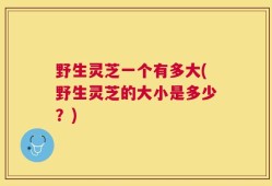 野生灵芝一个有多大(野生灵芝的大小是多少？)