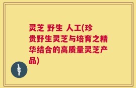 灵芝 野生 人工(珍贵野生灵芝与培育之精华结合的高质量灵芝产品)