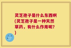 灵芝孢子是什么东西啊(灵芝孢子是一种天然草药，有什么作用呢？)