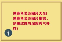 黑鹿角灵芝图片大全(黑鹿角灵芝图片集锦，绝美纹理与深邃秀气并存)