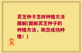 灵芝种子怎样种植方法图解(图解灵芝种子的种植方法，助您成功种植！)