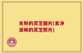 无粉的灵芝图片(素净清晰的灵芝照片)