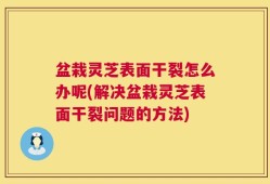 盆栽灵芝表面干裂怎么办呢(解决盆栽灵芝表面干裂问题的方法)