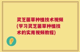 灵芝菌草种植技术视频(学习灵芝菌草种植技术的实用视频教程)