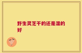 野生灵芝干的还是湿的好
