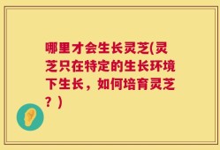 哪里才会生长灵芝(灵芝只在特定的生长环境下生长，如何培育灵芝？)