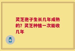 灵芝孢子生长几年成熟的？灵芝种植一次能收几年