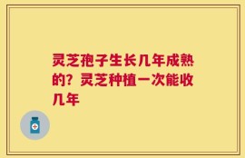 灵芝孢子生长几年成熟的？灵芝种植一次能收几年