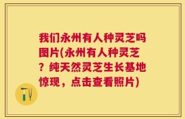 我们永州有人种灵芝吗图片(永州有人种灵芝？纯天然灵芝生长基地惊现，点击查看照片)
